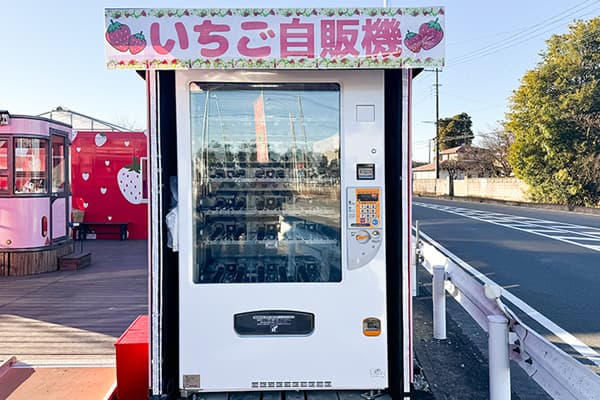 Strawberry vending machine