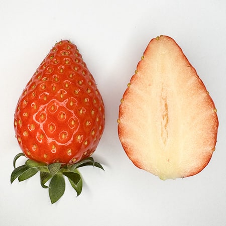 香织草莓